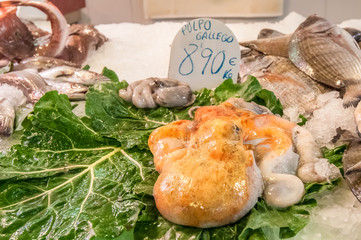 galician octopus in the market