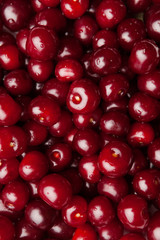 sour cherries, close-up view