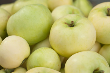 Apples