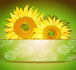 Abstract sunflower background, Vector illustration. 
