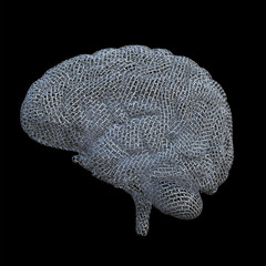 Mesh Brain