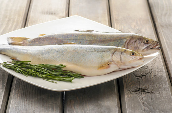 Two raw, fresh rainbow trouts among vegetables. Idea of healthy