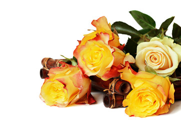 Yellow roses on white background