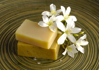 Fototapeta na wymiar White branch frangipani and stacked soap on wooden plate