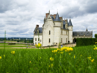 Amboise Castle in Loire Valley