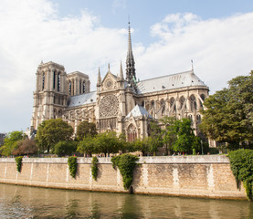 Fototapeta na wymiar PARIS, JULY 28: Cathedral Notre Dame de Paris on July 28, 2013.