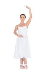 Serious young ballet dancer standing in a pose © lightwavemedia