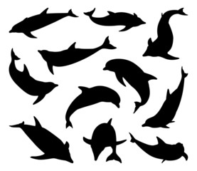 Naklejka premium Dolphin silhouettes set