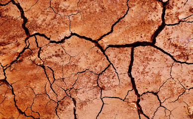drought