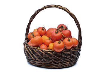 Tomatoes in a basket