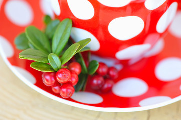 Cowberry (Vaccinium vitis-idaea) tea