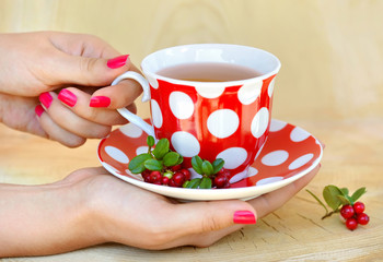 Cowberry (Vaccinium vitis-idaea) tea in woman hands