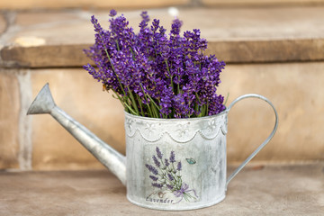 Naklejka premium Watering Can and Lavende