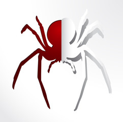 BLACK WIDOW PAPER SPIDER