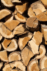 stack of firewood prepared for winter