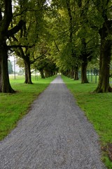 A path