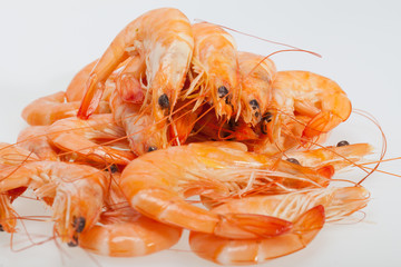 fresh shrimp  isolated on a white background