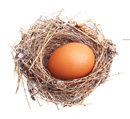 Egg in nest isolated on white background