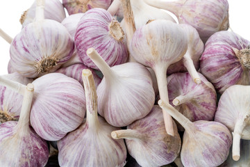 Pile garlic head