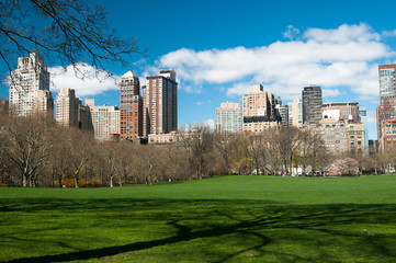Fototapeta na wymiar Central Park, New York