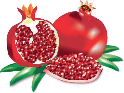 pomegranate-vector, shana tova