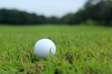 Golf ball lying in the fairway