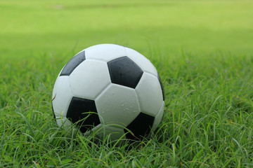 leather Soccer ball on grass