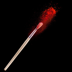 Make up brushes with powder