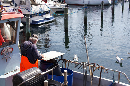 Faaborg - DK fisherman