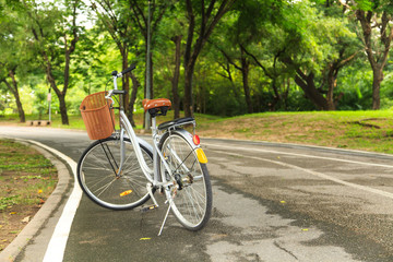 Fototapeta na wymiar Bicycles in the park