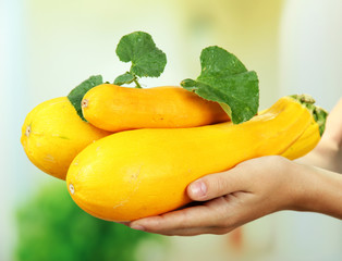 Woman hand holding raw zucchini, outdoors