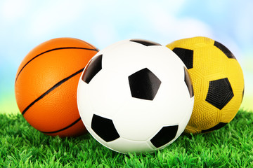 Sport balls, on green grass, on bright background