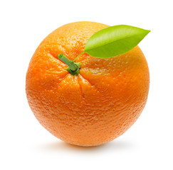Orange fruit isolated on white background.