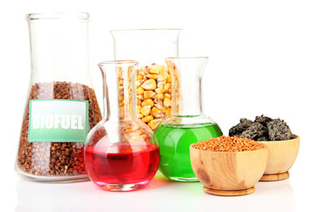 Conceptual photo of bio fuel.  Isolated on white