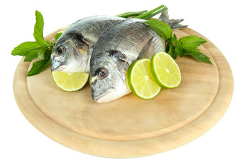 Dorado fish isolated on white