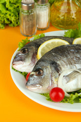 Dorado fish on table close-up
