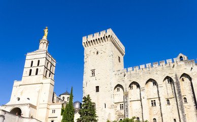 Fototapeta na wymiar Pałac Papieży, Avignon