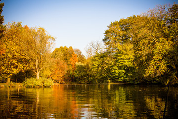 Colorful autumn landscape. Beautiful autumn forest