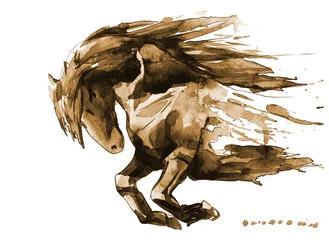 Rolgordijnen Schilderingen paard