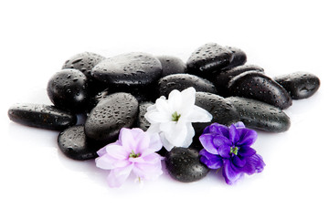 Fototapeta na wymiar Spa stones and purple flower, isolated on white. flower in stone