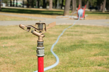 watering garden with sprayer