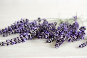 Closeup of bunch of lavender on a white table