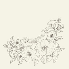 Hibiscus on white background © Kotkoa