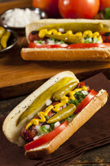 Chicago Style Hot Dog