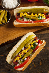 Chicago Style Hot Dog