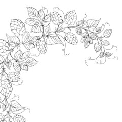 Beer mug isolated on a white background.