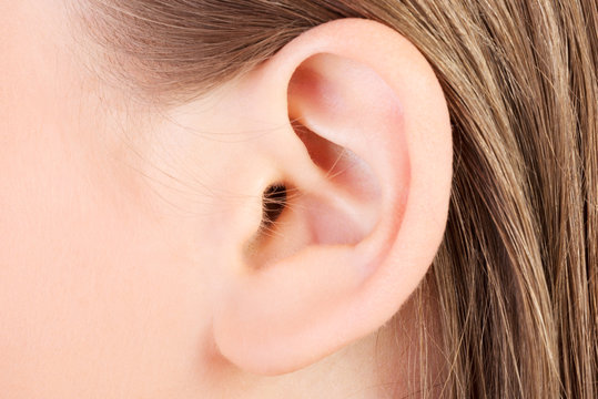 Ear lobe closeup