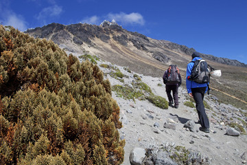 Trekking Ecuador