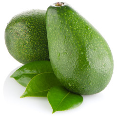 Avocados on white