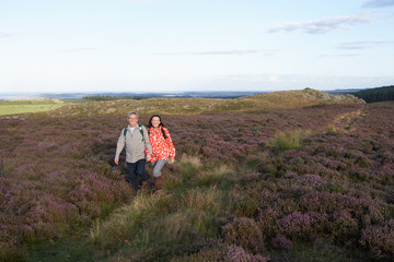 Fototapeta na wymiar Senior Couple Hiking Across Moorland Covered With Heather